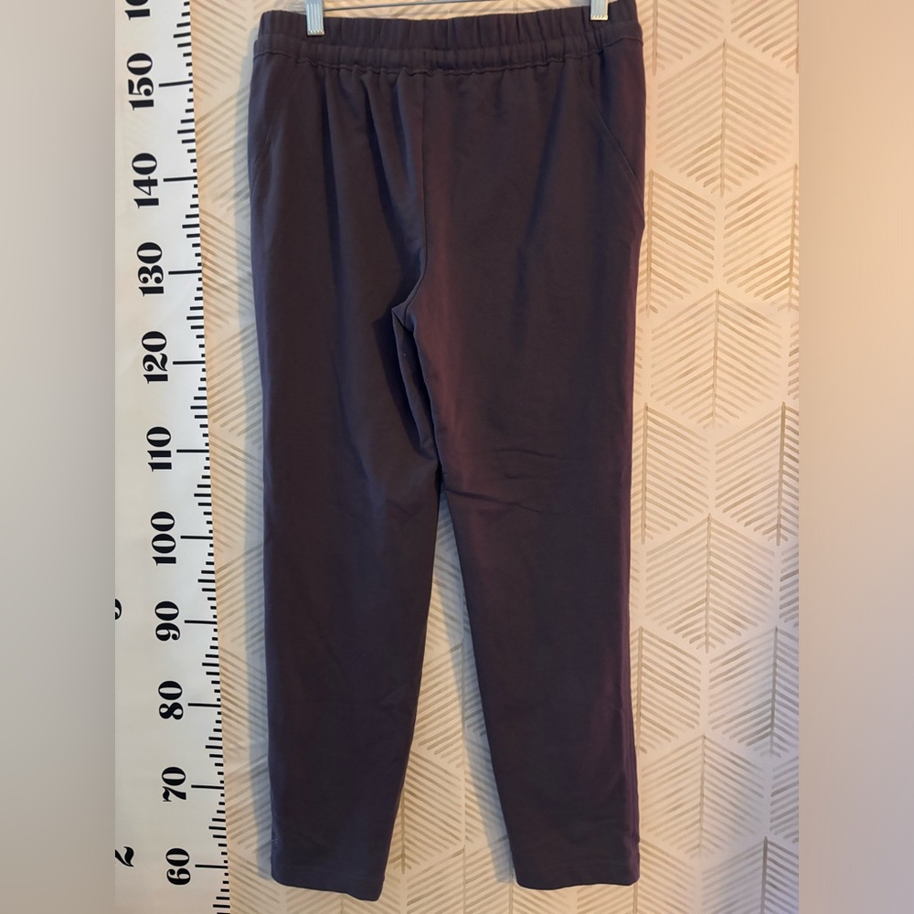 L.L. Bean, hiking/mountainside/trekking pants size 10